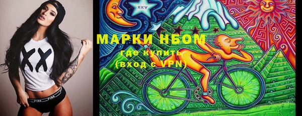 крисы Надым