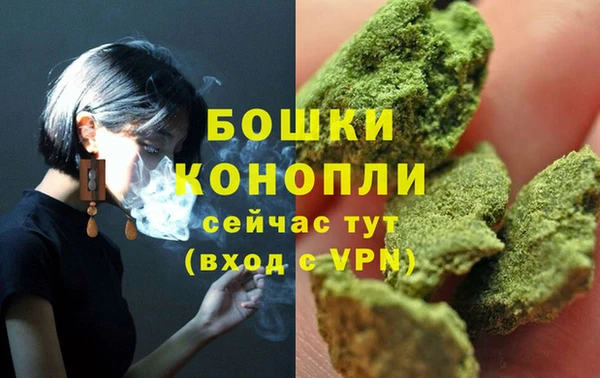молекула духа Зуевка