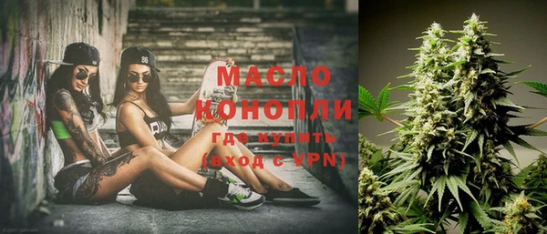 крисы Надым
