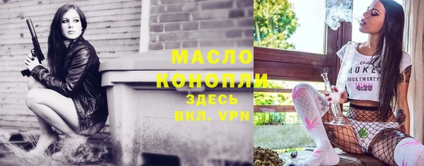 крисы Надым