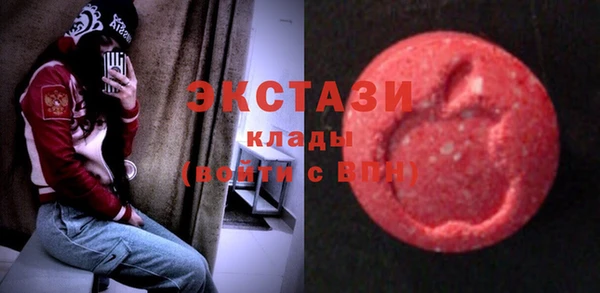 крисы Надым