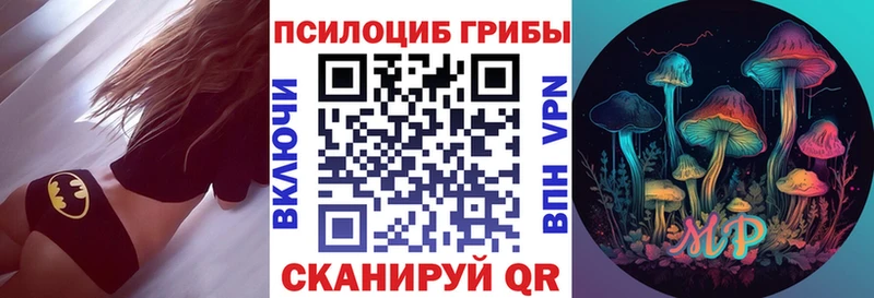 блэк спрут ONION  купить наркоту  Катав-Ивановск  Псилоцибиновые грибы мицелий 